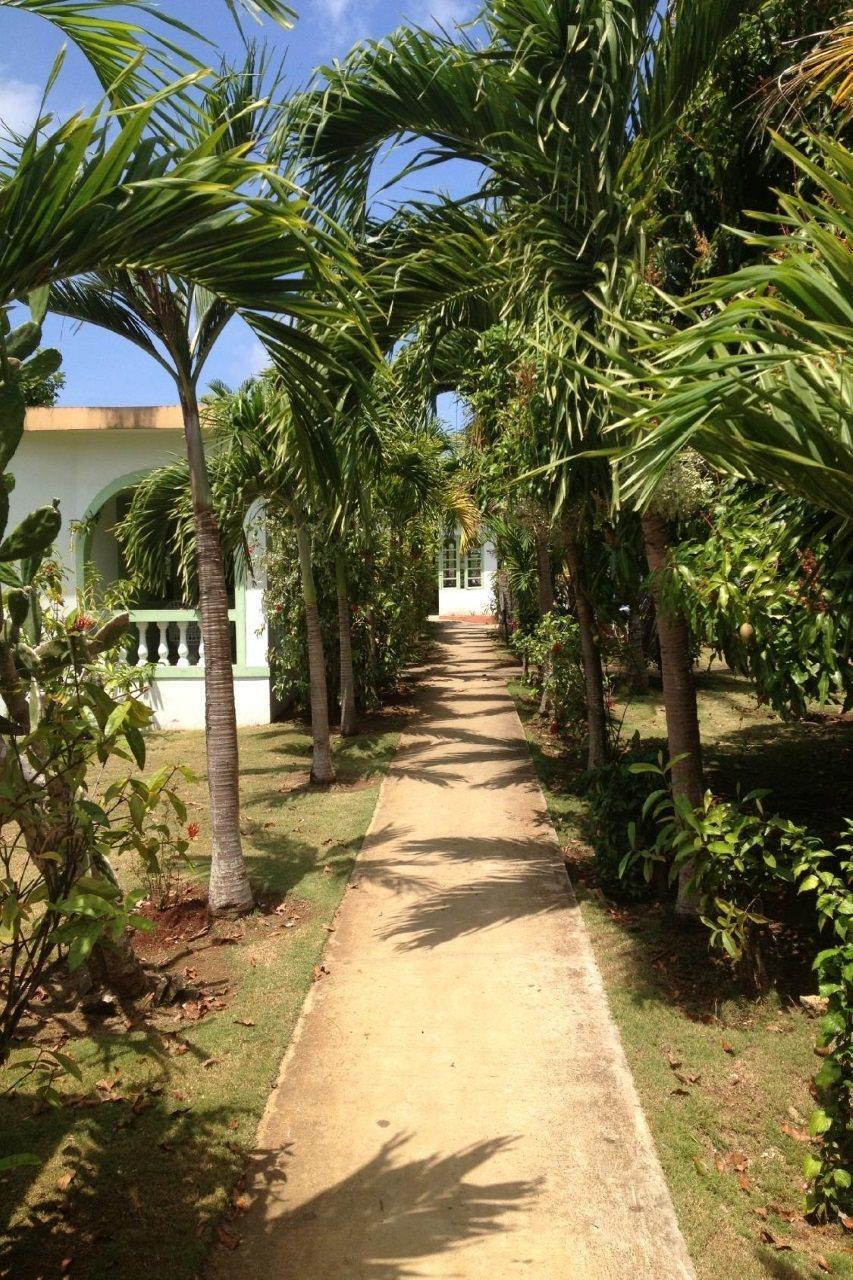 Hidden Paradise Resort Hotel Negril Exteriör bild